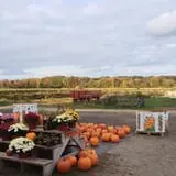 Salisbury Farm Corn Maze & Pumpkin Patch photo