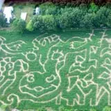 Salisbury Farm Corn Maze & Pumpkin Patch photo