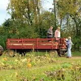 Salisbury Farm Corn Maze & Pumpkin Patch photo