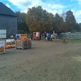 Salisbury Farm Corn Maze & Pumpkin Patch photo