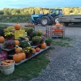 Salisbury Farm Corn Maze & Pumpkin Patch photo