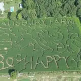 Salisbury Farm Corn Maze & Pumpkin Patch photo