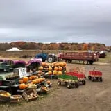 Salisbury Farm Corn Maze & Pumpkin Patch photo