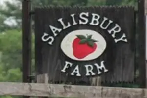 Salisbury Farm Corn Maze & Pumpkin Patch