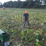Pumpkin Patch Farms photo