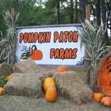 Pumpkin Patch Farms photo