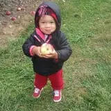 Lawrence Farms Orchards photo