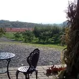 Lawrence Farms Orchards photo