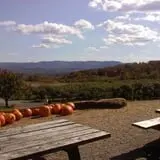 Lawrence Farms Orchards photo