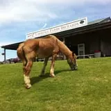 Lawrence Farms Orchards photo