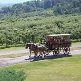 Lawrence Farms Orchards photo