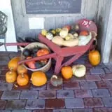 Lawrence Farms Orchards photo