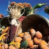 Lawrence Farms Orchards photo