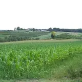 Lawrence Farms Orchards photo