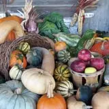 Lawrence Farms Orchards photo