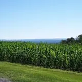 Lawrence Farms Orchards photo