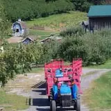 Lawrence Farms Orchards photo