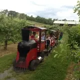 Lawrence Farms Orchards photo