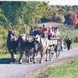 Lawrence Farms Orchards photo