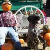 Lawrence Farms Orchards photo
