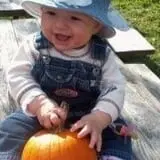 Lawrence Farms Orchards photo