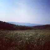 Lawrence Farms Orchards photo