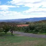 Lawrence Farms Orchards photo