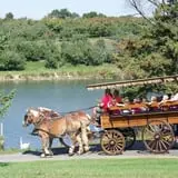 Lawrence Farms Orchards photo