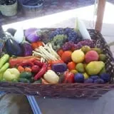 Lawrence Farms Orchards photo