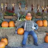 Lawrence Farms Orchards photo