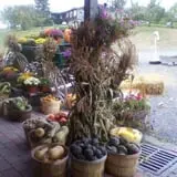 Lawrence Farms Orchards photo