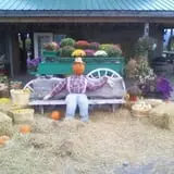 Lawrence Farms Orchards photo