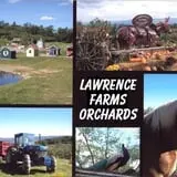 Lawrence Farms Orchards photo