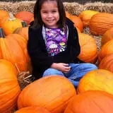 Lawrence Farms Orchards photo