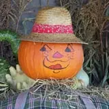 Lawrence Farms Orchards photo