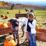 Lawrence Farms Orchards photo