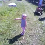 Lawrence Farms Orchards photo