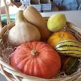 Lawrence Farms Orchards photo