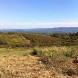 Lawrence Farms Orchards photo