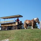 Lawrence Farms Orchards photo