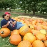 Lawrence Farms Orchards photo