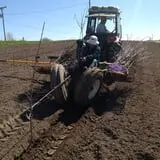 Shihata's Orchard photo
