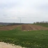 Shihata's Orchard photo