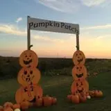 Shihata's Orchard photo