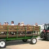 Shihata's Orchard photo