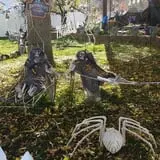 Spider Hollow photo
