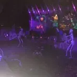 Spider Hollow photo