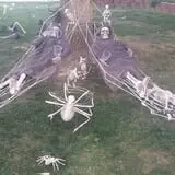 Spider Hollow photo