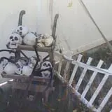 Spider Hollow photo