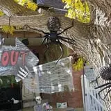 Spider Hollow photo